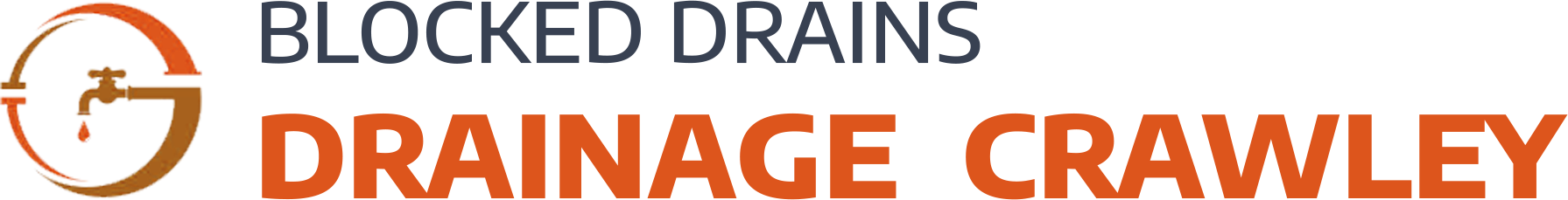 website logo